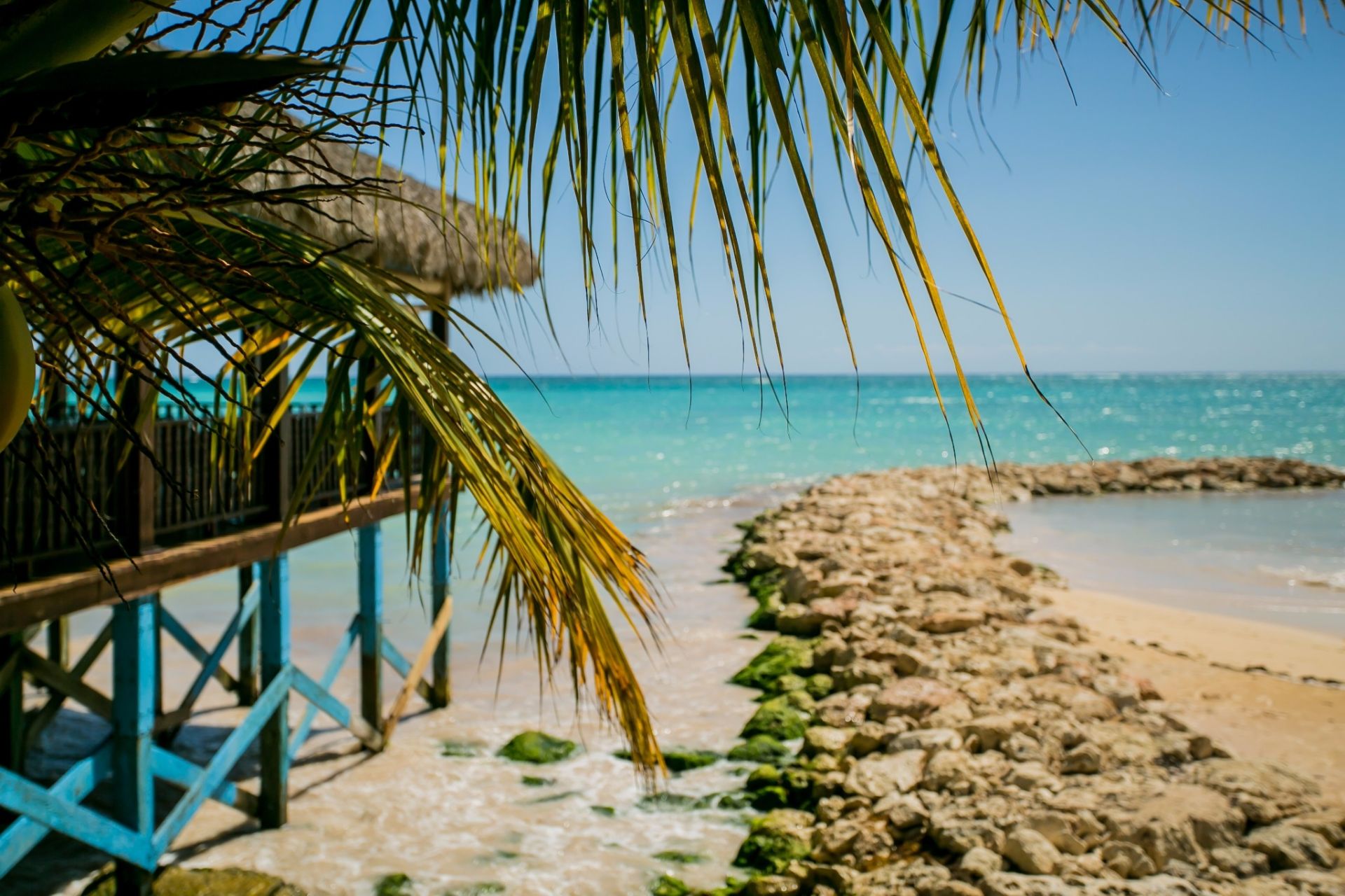 北美洲 多米尼加共和国 蓬塔卡纳 巴瓦罗海滩