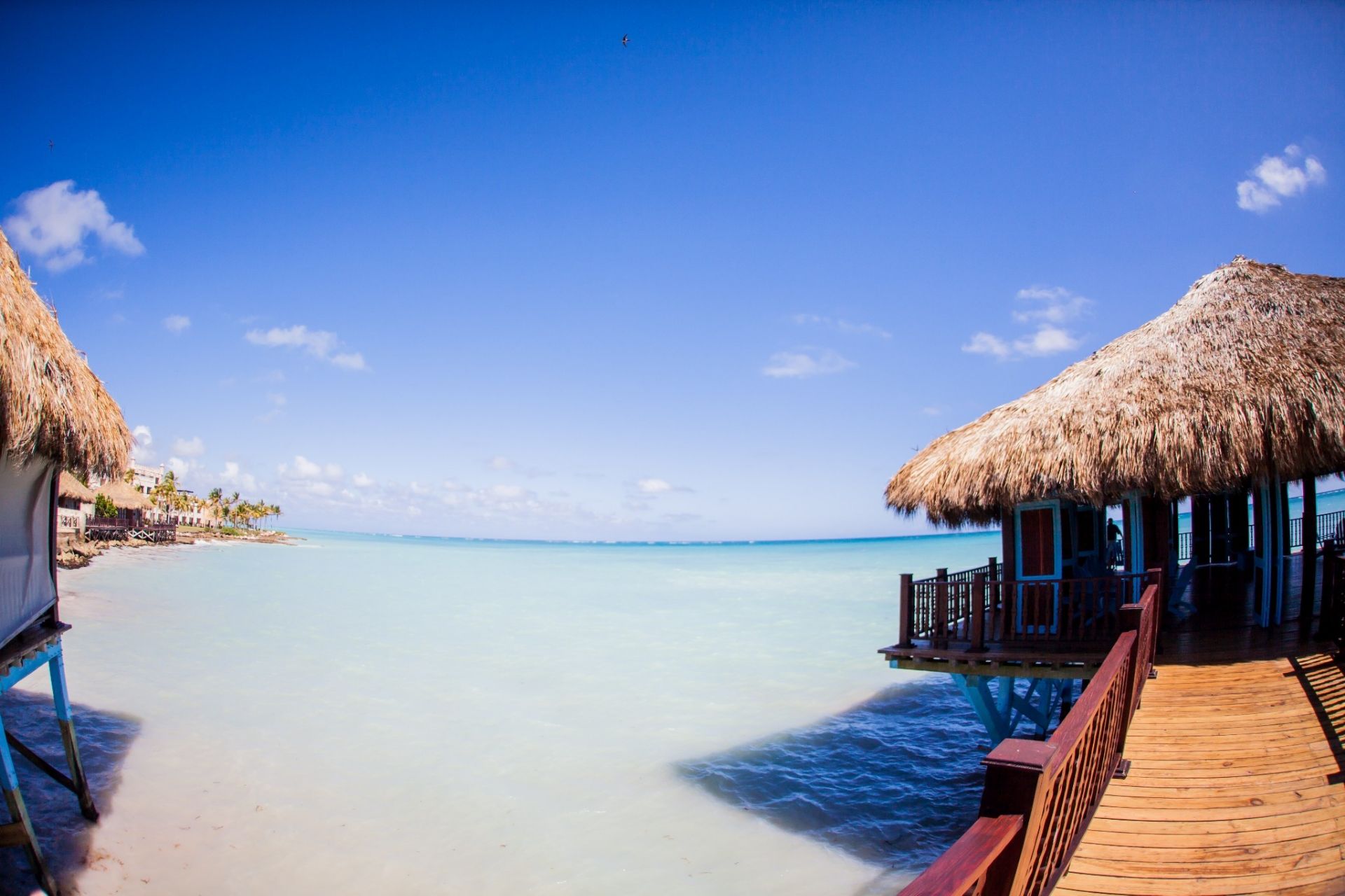 北美洲 多米尼加共和国 蓬塔卡纳 巴瓦罗海滩