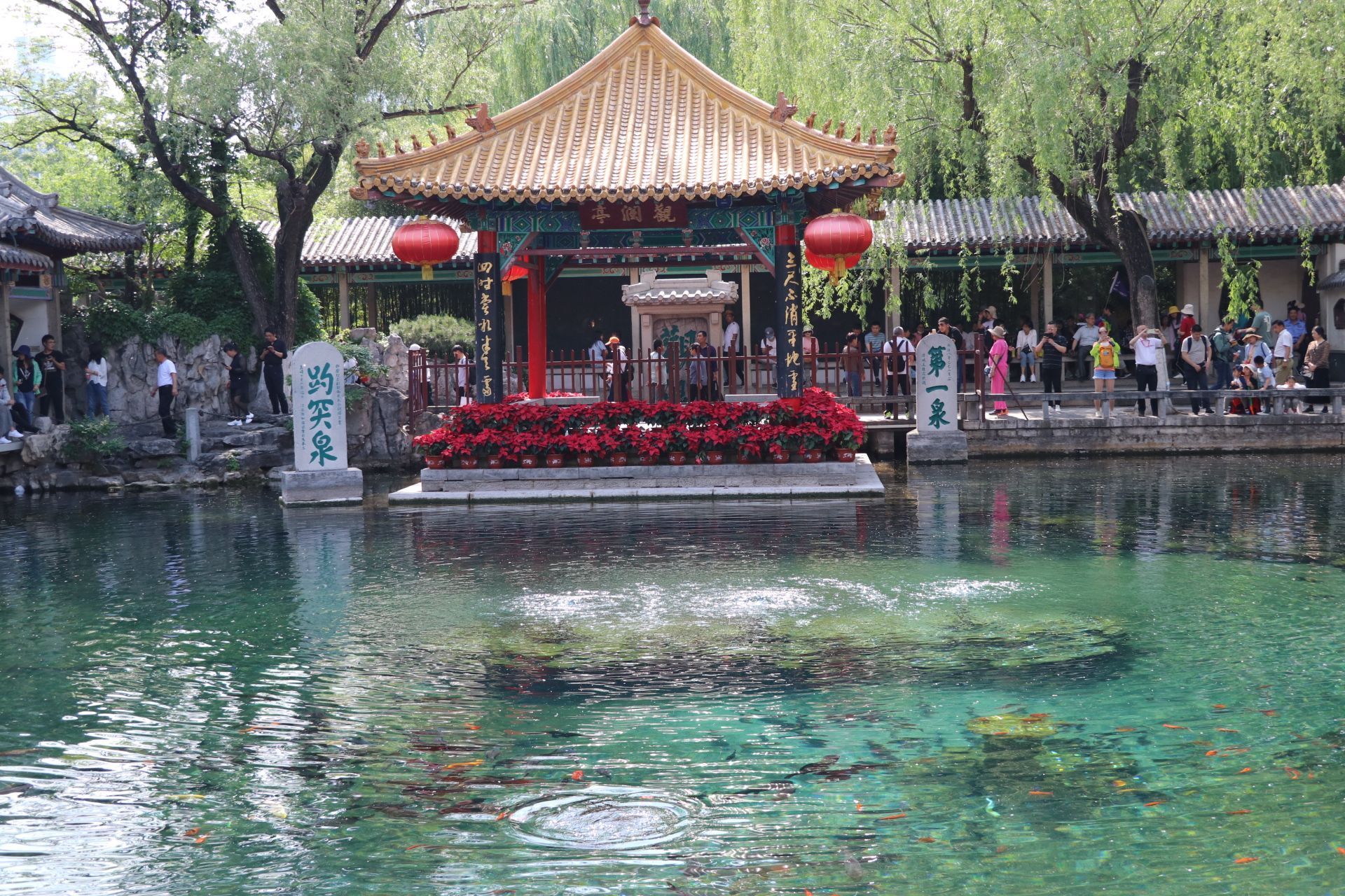 山东省 济南市 趵突泉景区 被誉为"天下第一泉"