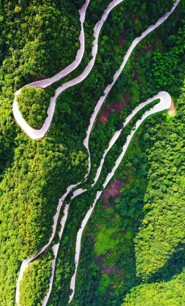 皖南天路桃岭盘猴子路