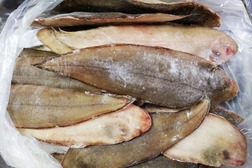 菜市场冷冻店海鲜海捕速冻 对虾110元一斤 半斤多银鲳65元一斤