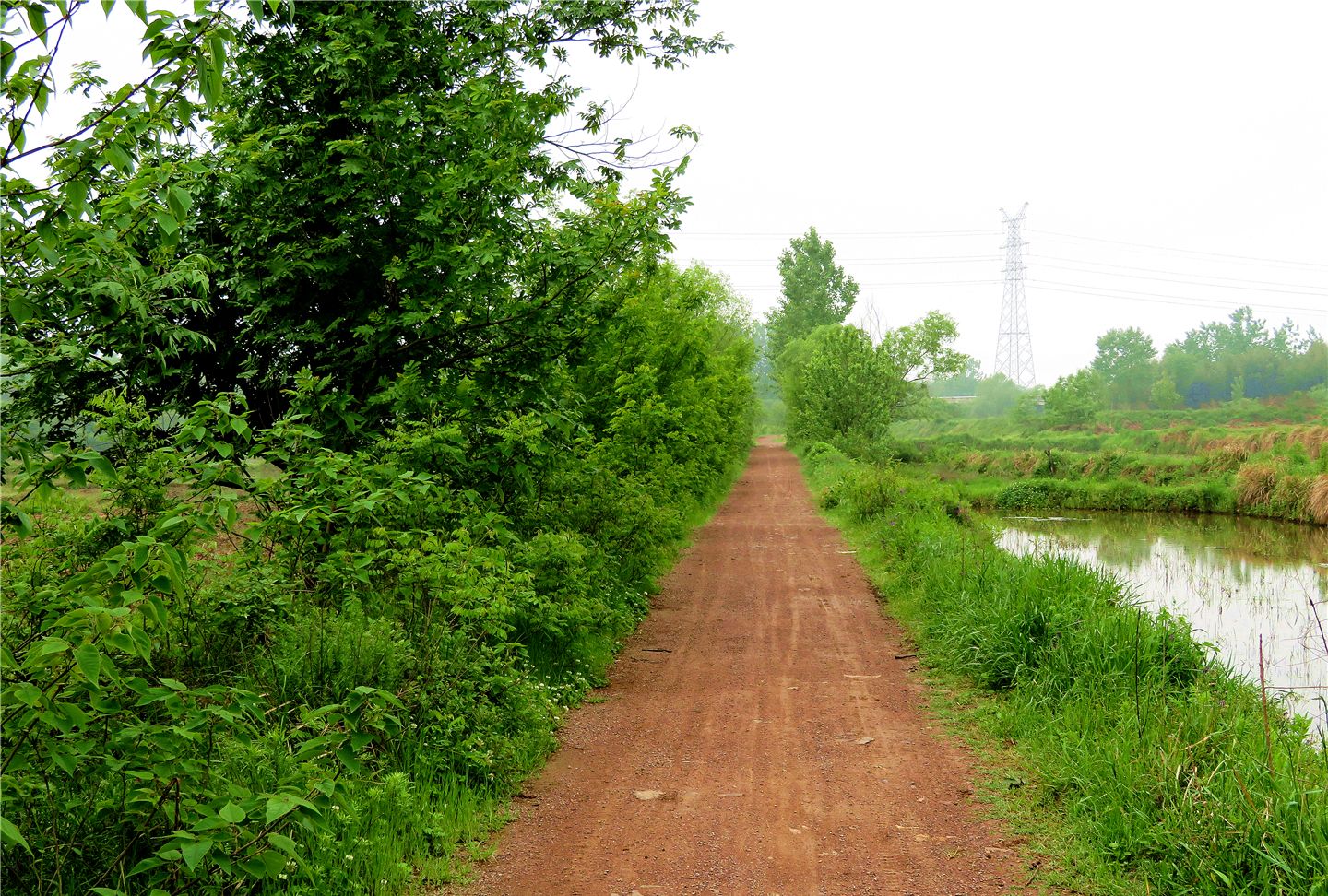通往乡村的石子路,现在这里很多村庄修了水泥路.