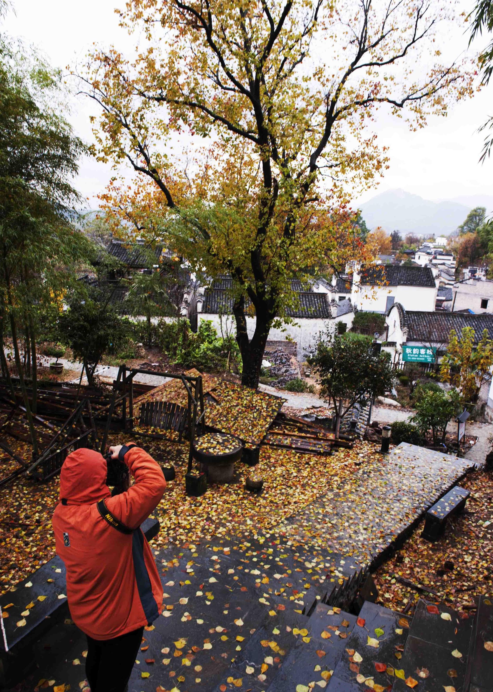 最美乡村:安徽黄山黟县雨中的塔川