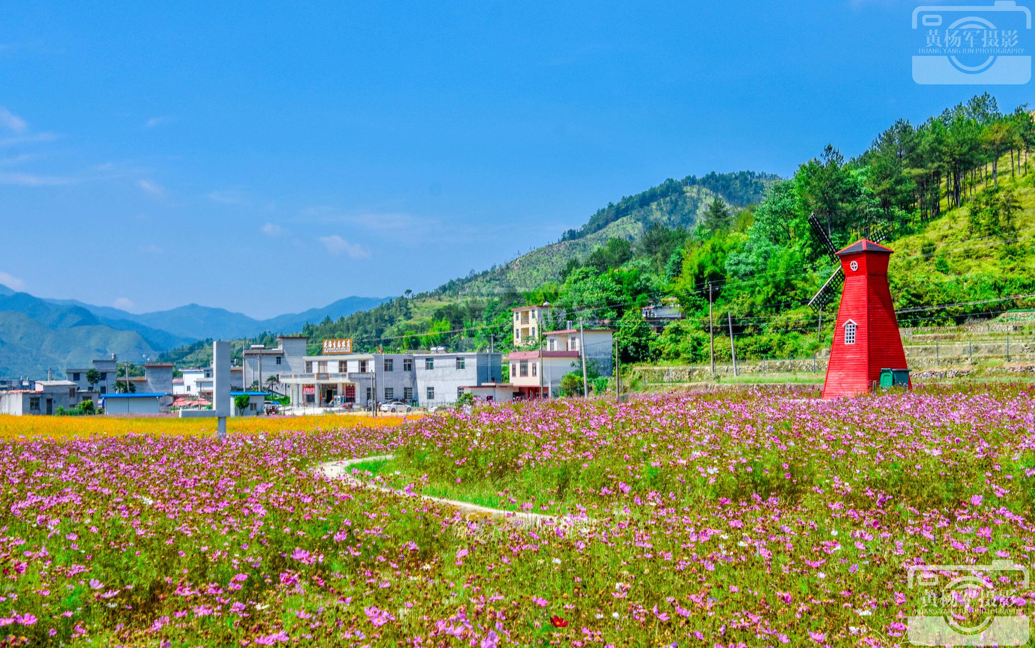 于都峡山花千谷一个百花齐放远离喧嚣的安静之地|峡山|于都|天空_新浪