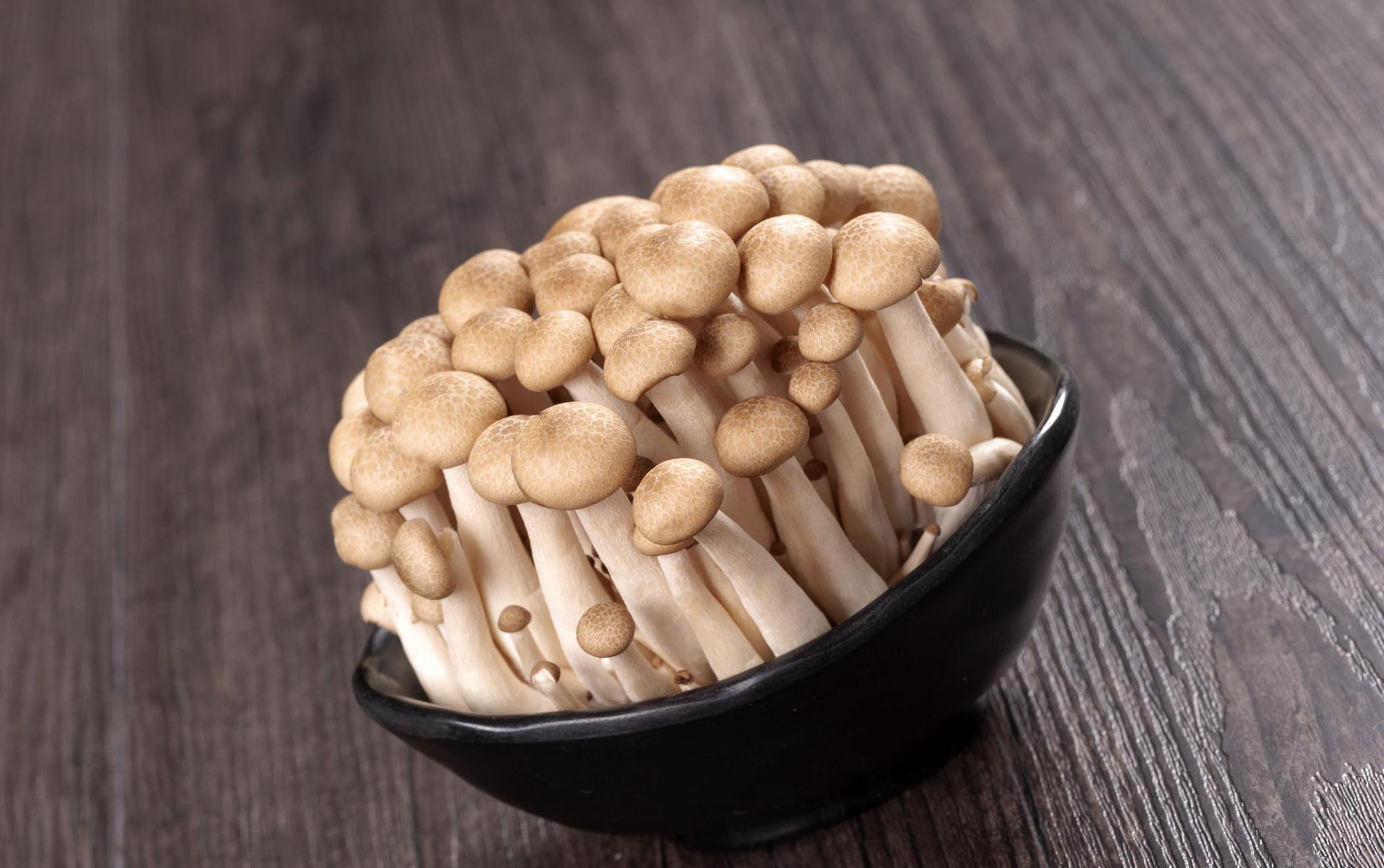 真姬菇的生长对光照空气以及ph值有怎样的要求