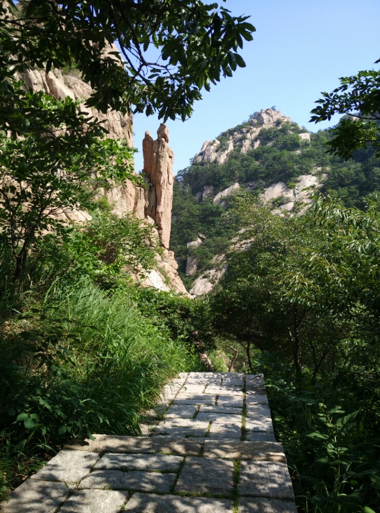 山东省 烟台市 海阳 招虎山国家森林公园