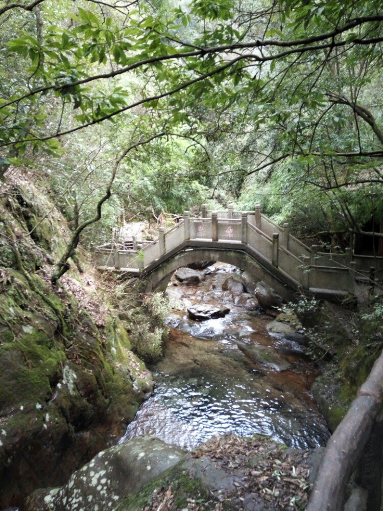 江西省 宜春市 靖安 三爪仑风景区