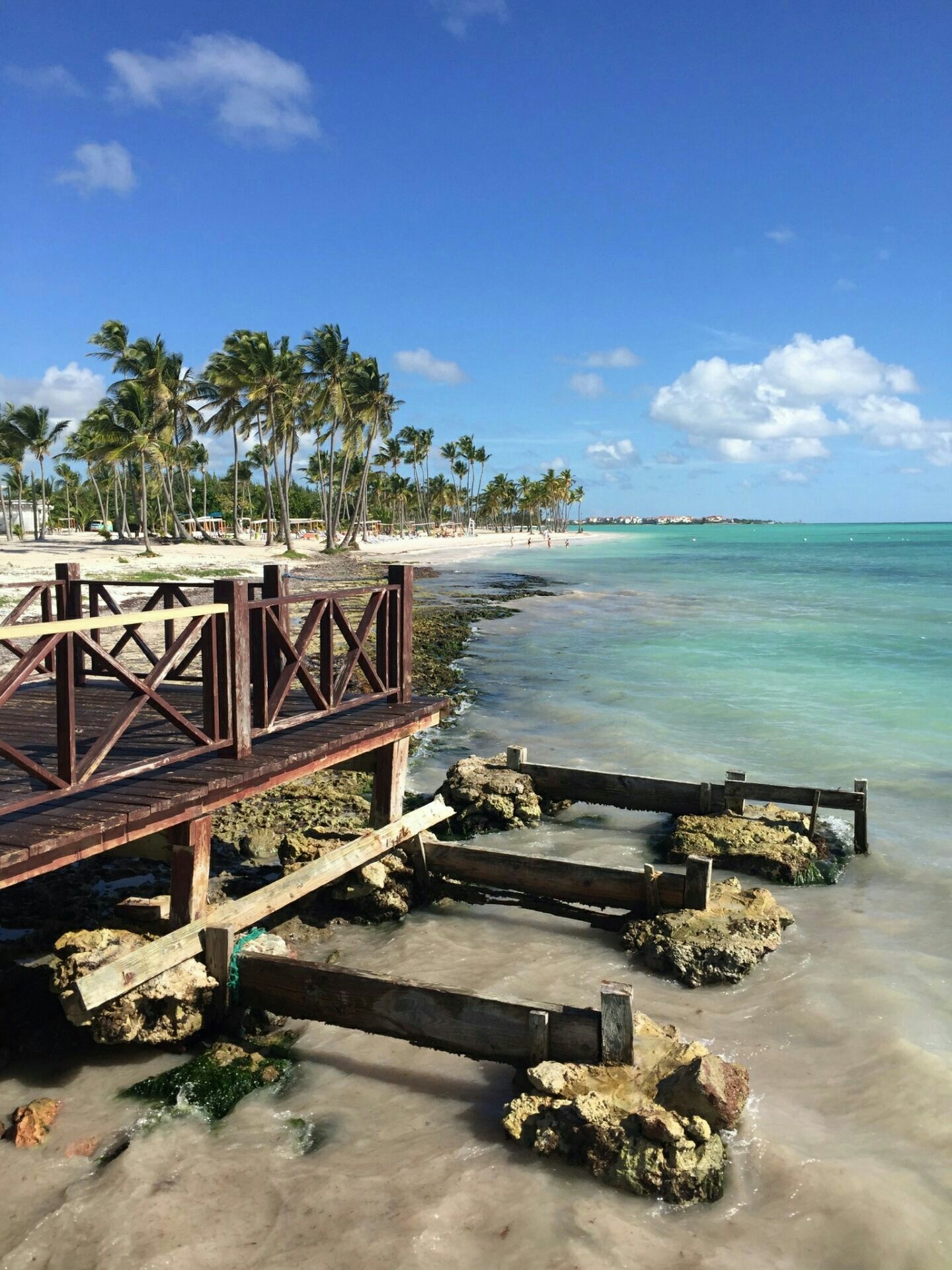 北美洲 多米尼加共和国 圣多明戈 博卡奇卡海滩|多米尼加共和国|北