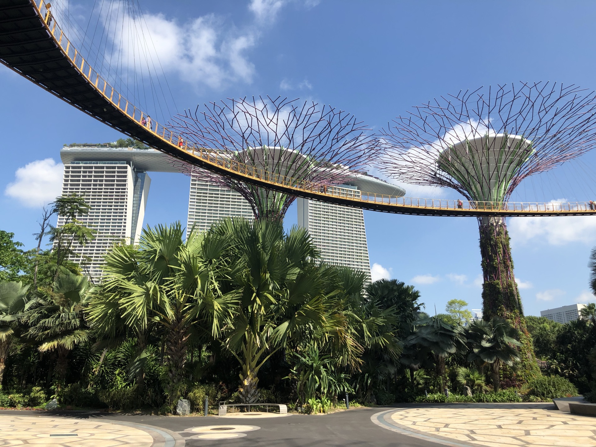 新加坡 滨海花园