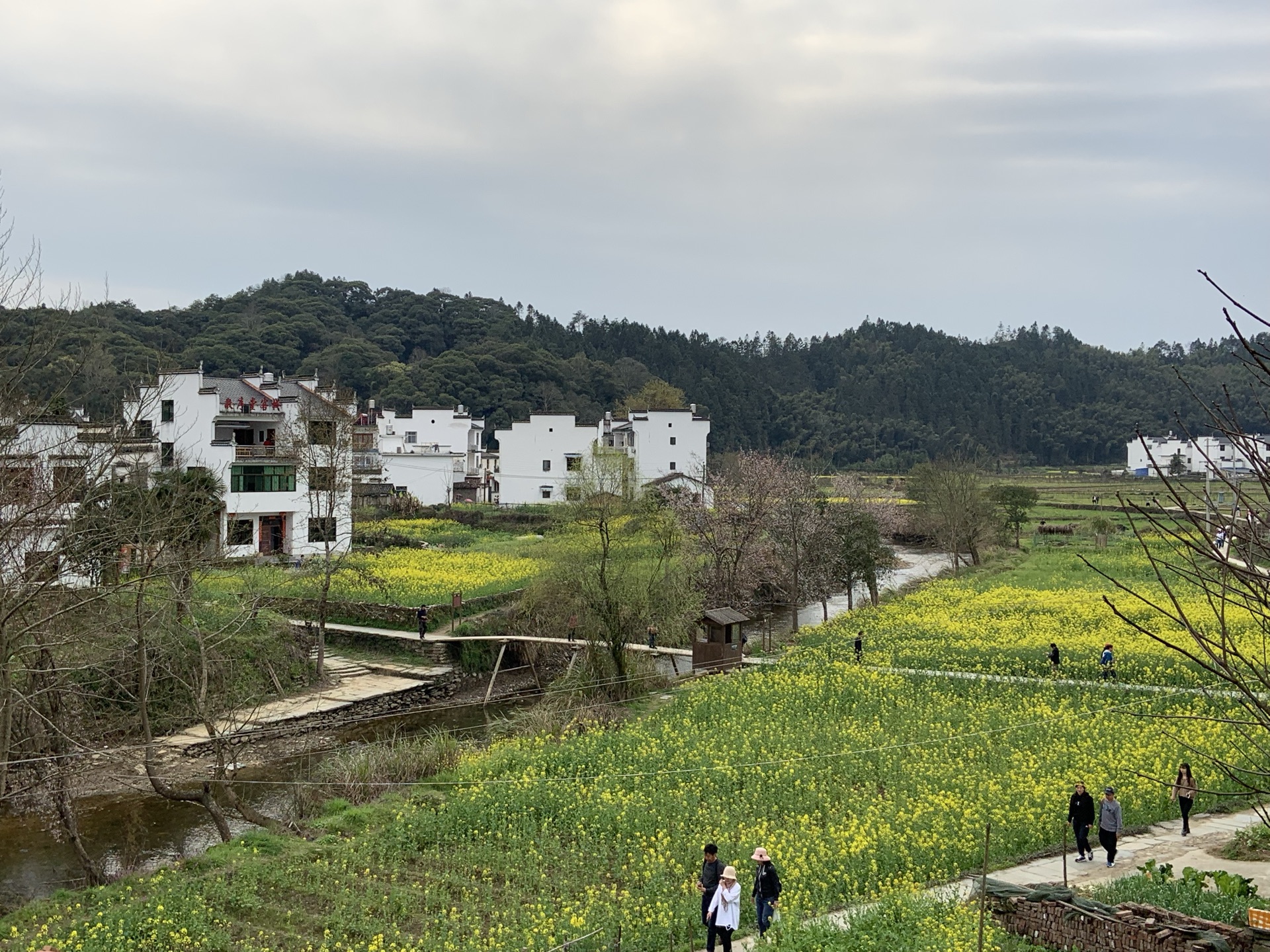 江西省 上饶市 思溪延村 秋色