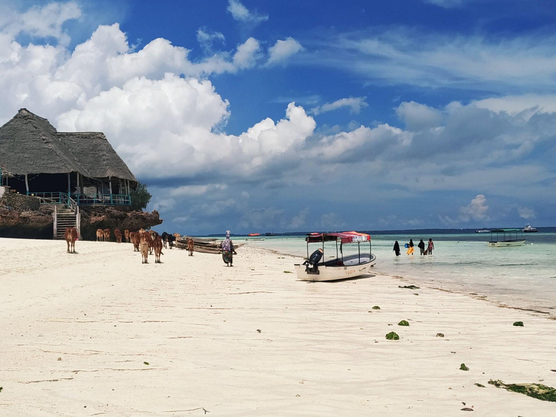 非洲 坦桑尼亚 桑给巴尔 nungwi海滩