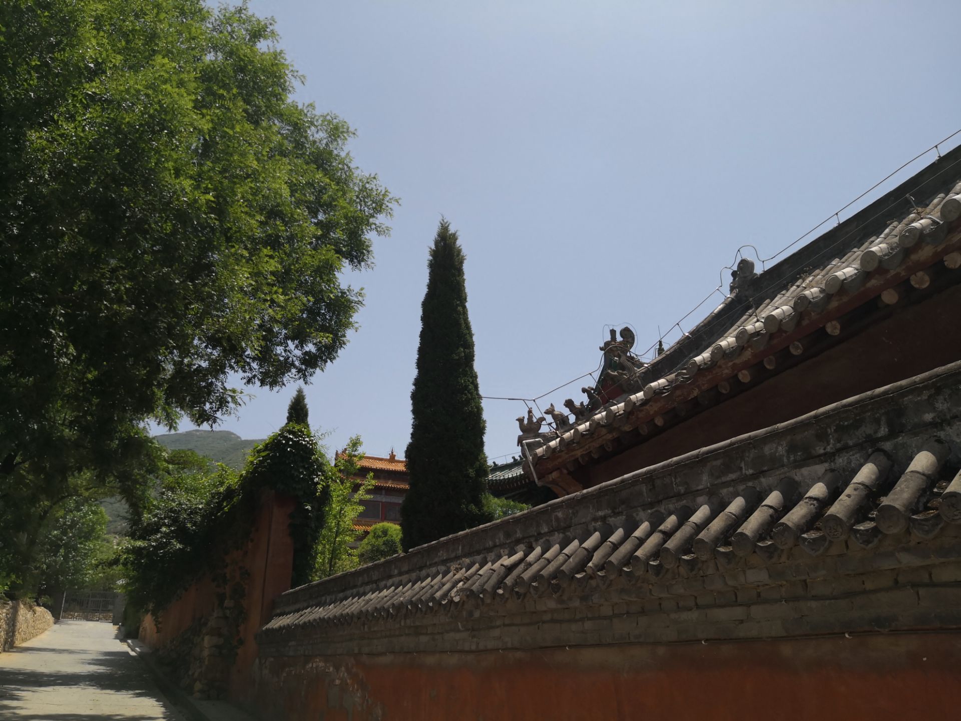 河南省 郑州 登封市 永泰寺 佛教禅宗尼僧祖庭