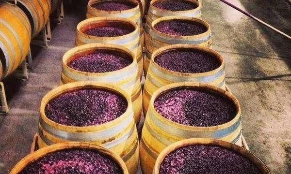 中国酒的起源和发展类型