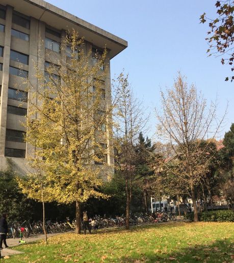 东南大学：建筑很有特色，历史文化内涵深厚，校园的景色优美东南大学校园景色历史文化建筑新浪新闻 