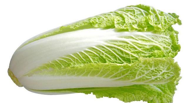 天津八大地方特产专题介绍之黄芽白菜