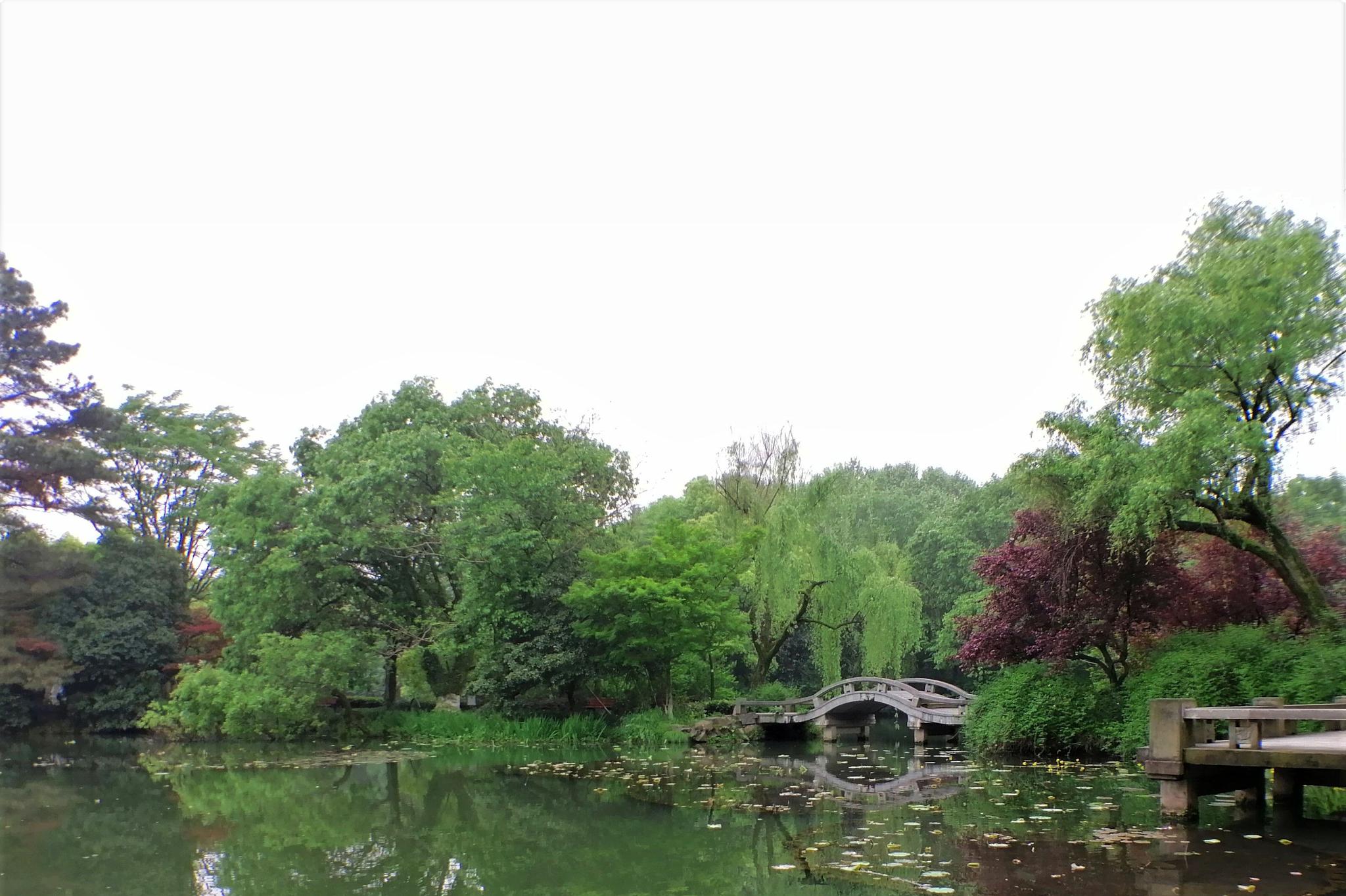 长桥不长断桥不断来看看西湖的白天