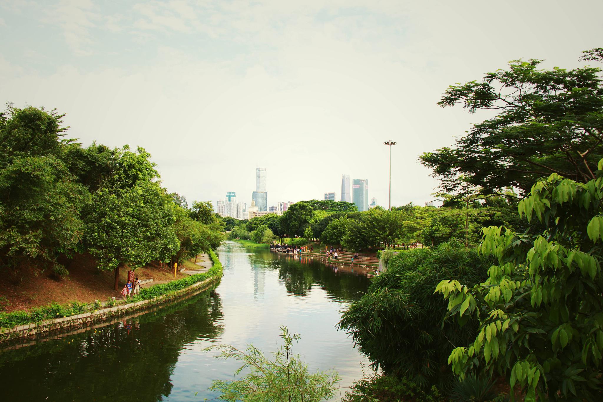 深圳中心公园,闹市之中的幽静绿地