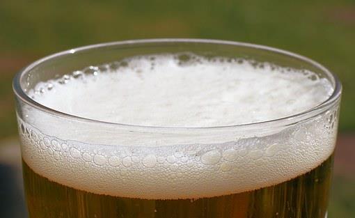 啤酒厂麦汁煮沸过程中的变化—酒花组分的溶解和转变