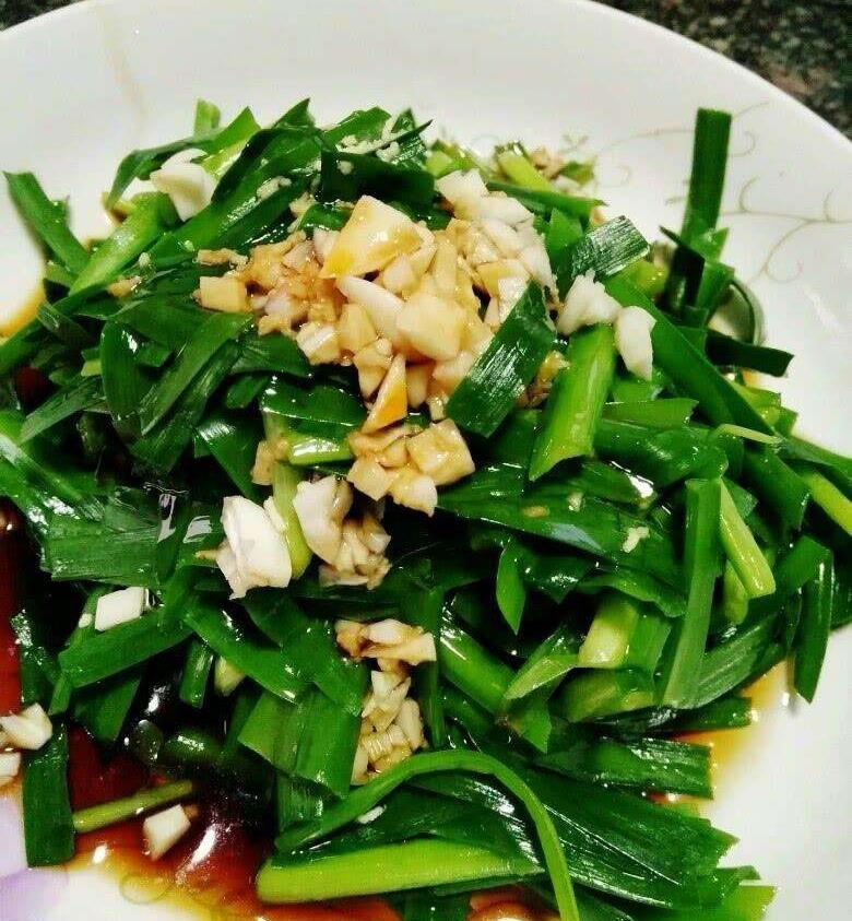 减肥食谱《凉拌韭菜》|凉拌韭菜|韭菜|香油_新浪新闻