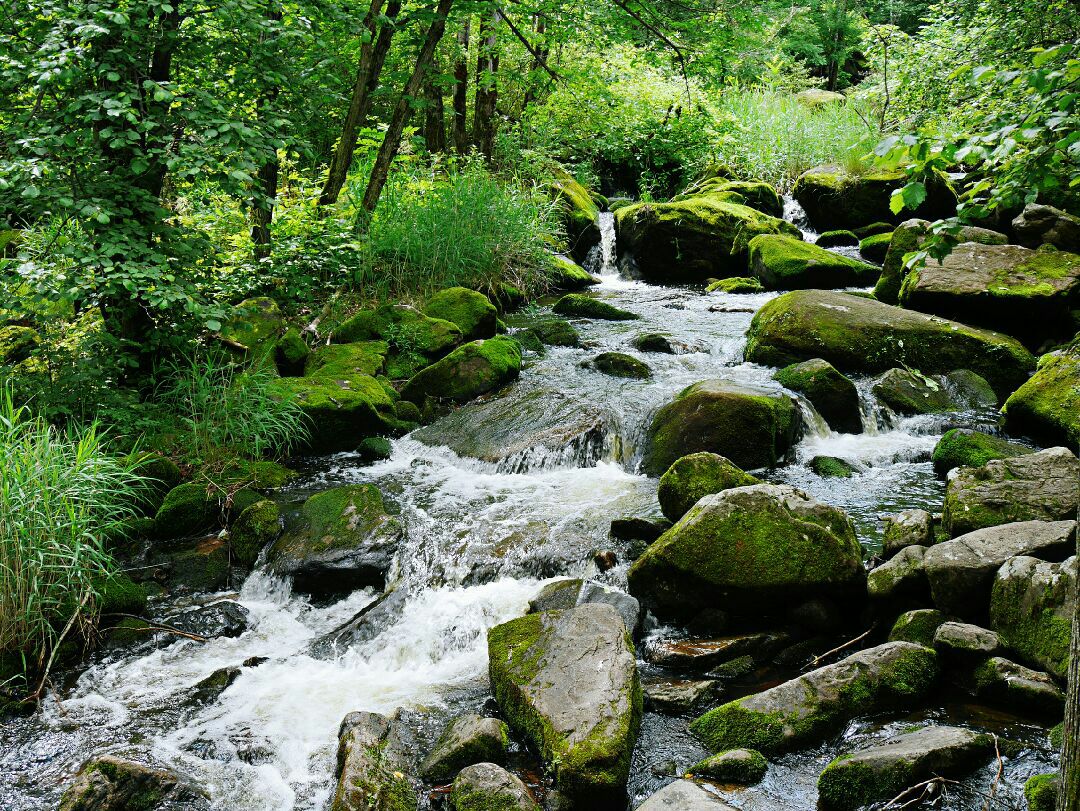 黑龙江省 伊春市 嘉荫县 茅兰沟国家森林公园