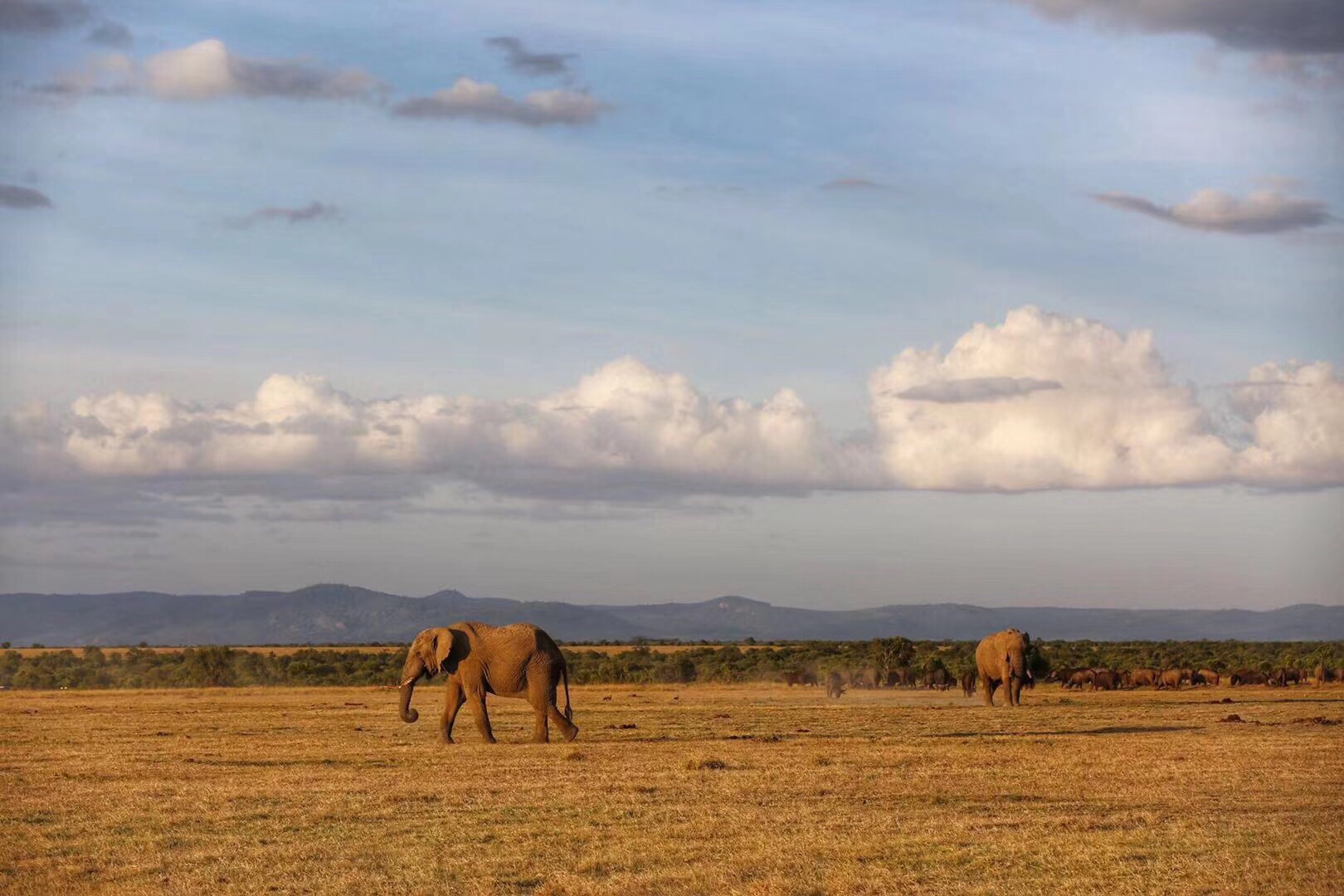 为什么在索马里收税是命悬一线的工作?...