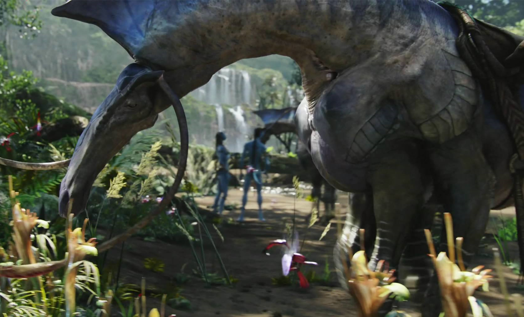 潘多拉星球上的马为何六条腿这可能是一个长期积累的结果