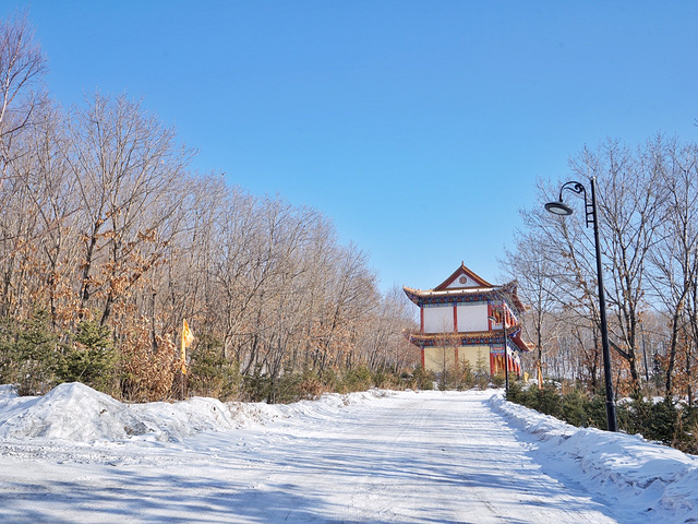 黑龙江省 牡丹江市 绥芬河 大光明寺 雪景_高清图集_新浪网