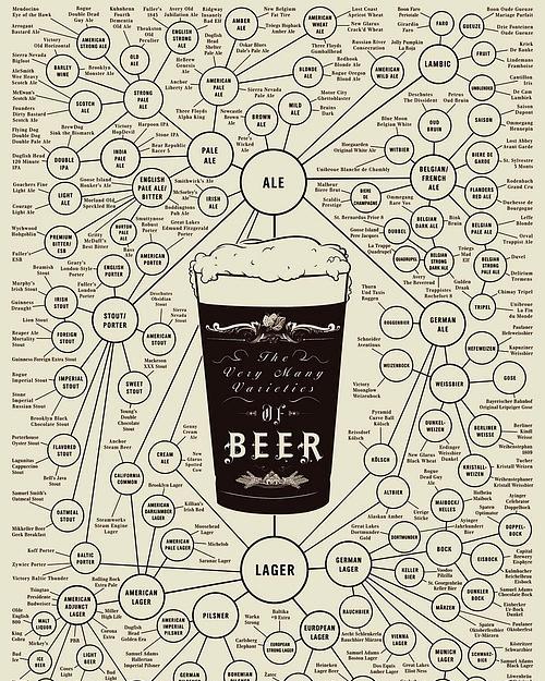 下面这张啤酒的分类图我们来一起了解一下.啤酒种类知多少