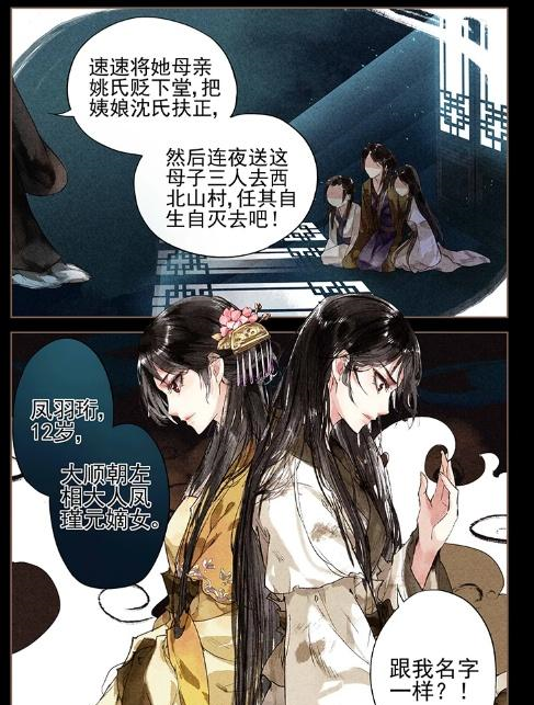 神医嫡女西北乱葬岗上凤星临时二十一世纪特级军官凤羽珩