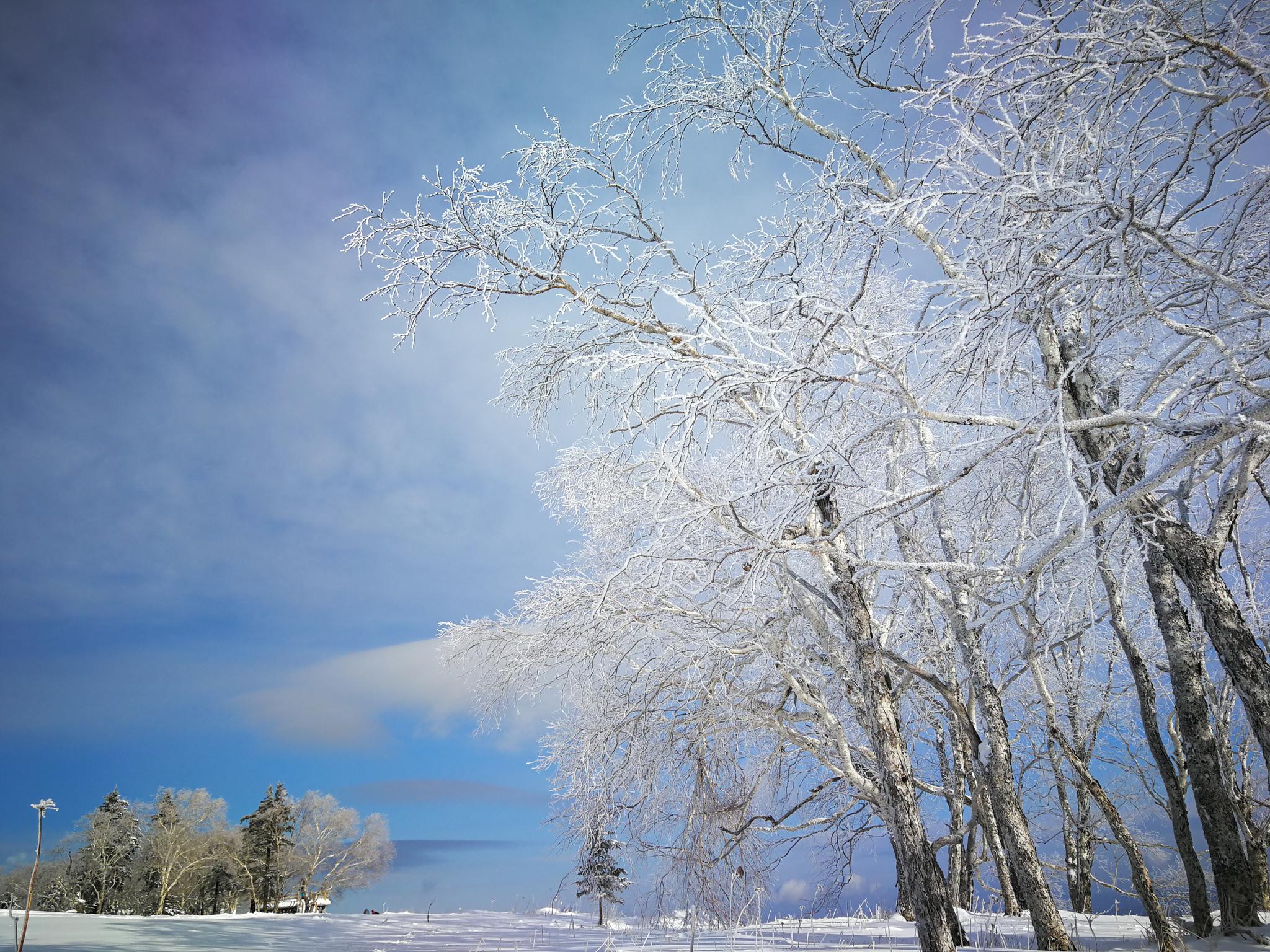 黑龙江省五常市凤凰山国家森林公园雪景