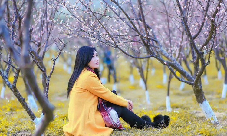 一个依偎在开满桃花树下的美丽长发女子