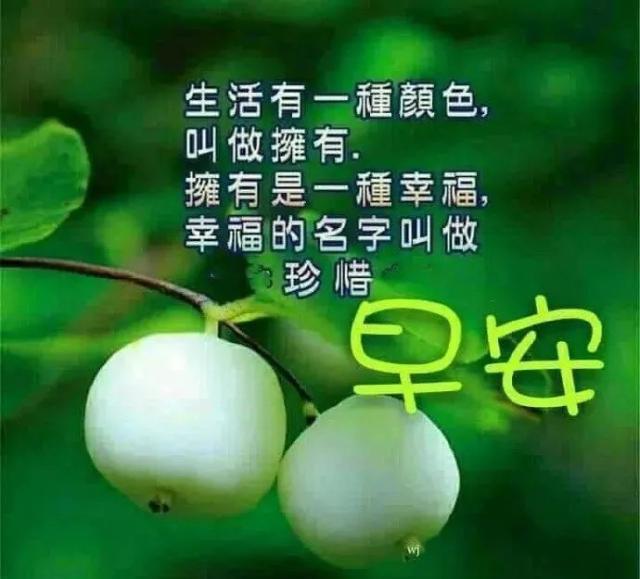 冬季早安哲理说说励志最美的早安问候表情图片带字