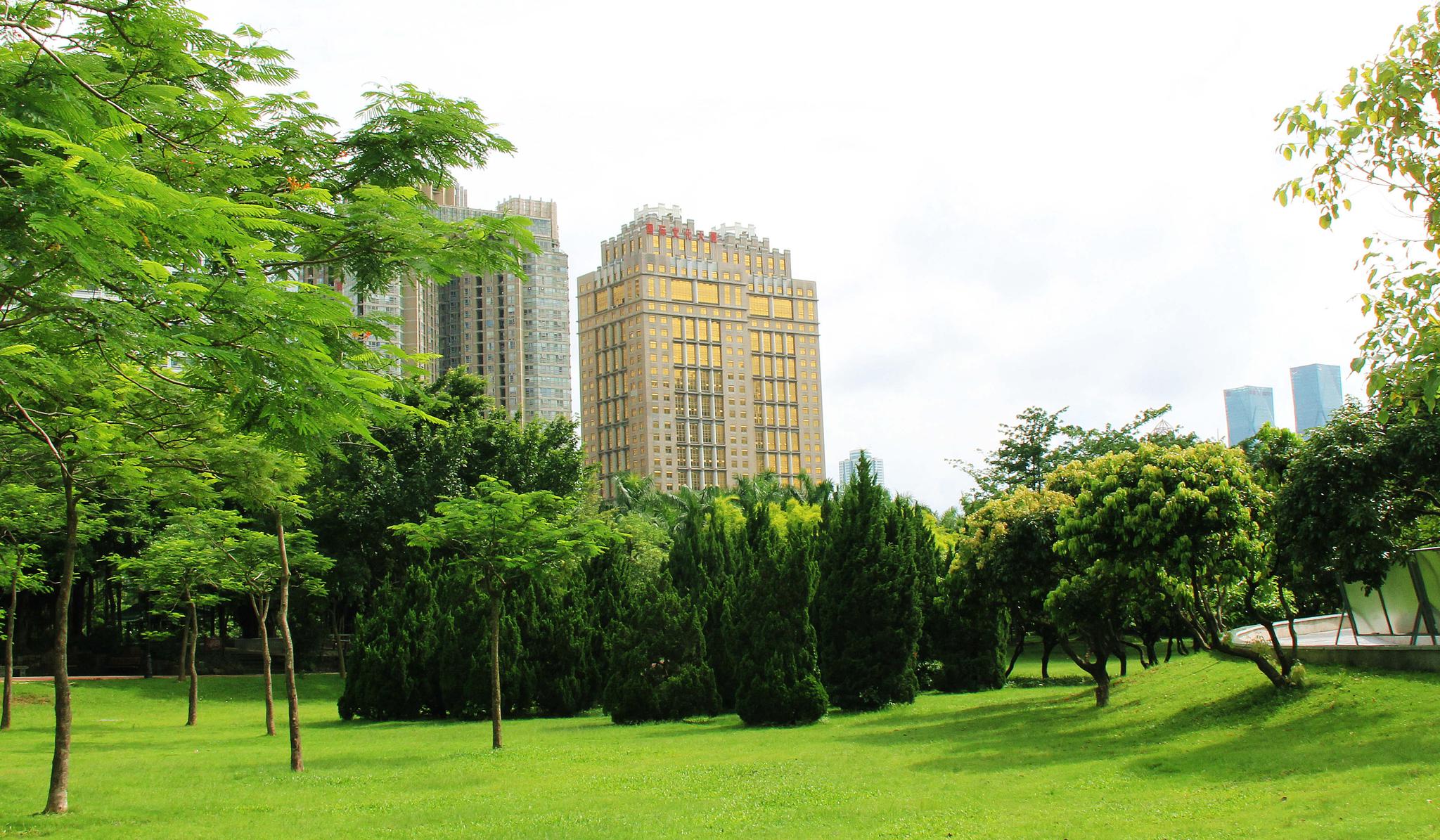 深圳中心公园,闹市之中的幽静绿地