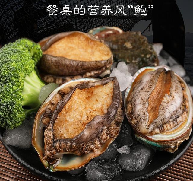 中国地理标志产品系列(福建篇)——南日鲍