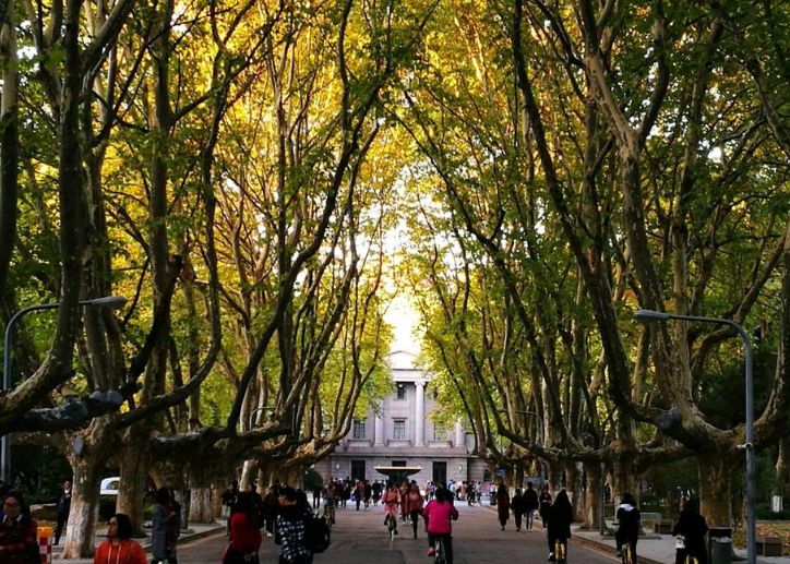 东南大学：建筑很有特色，历史文化内涵深厚，校园的景色优美东南大学校园景色历史文化建筑新浪新闻 