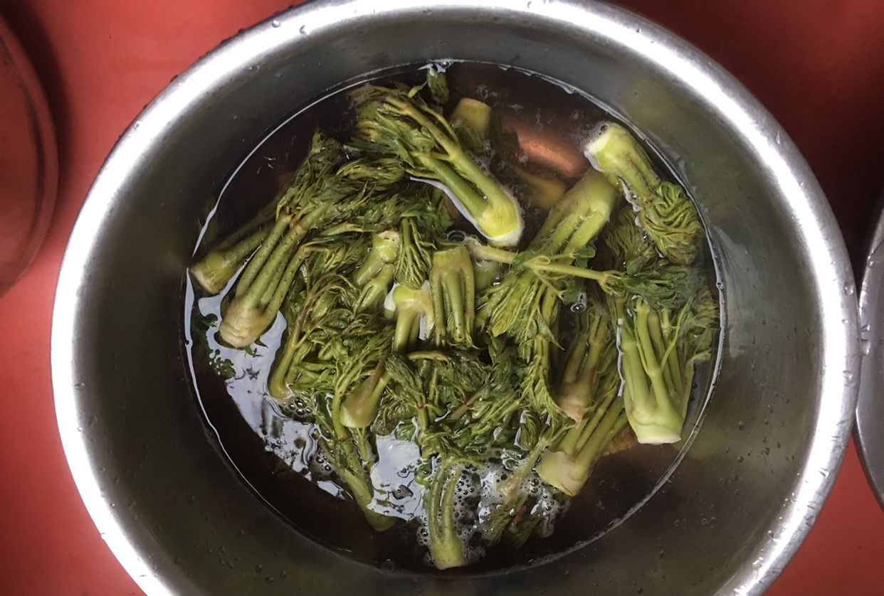 凉拌刺老芽我是这样做的