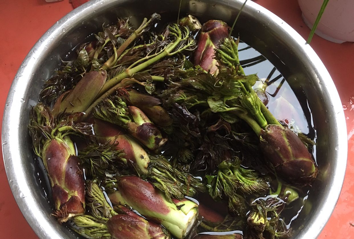 凉拌刺老芽,我是这样做的
