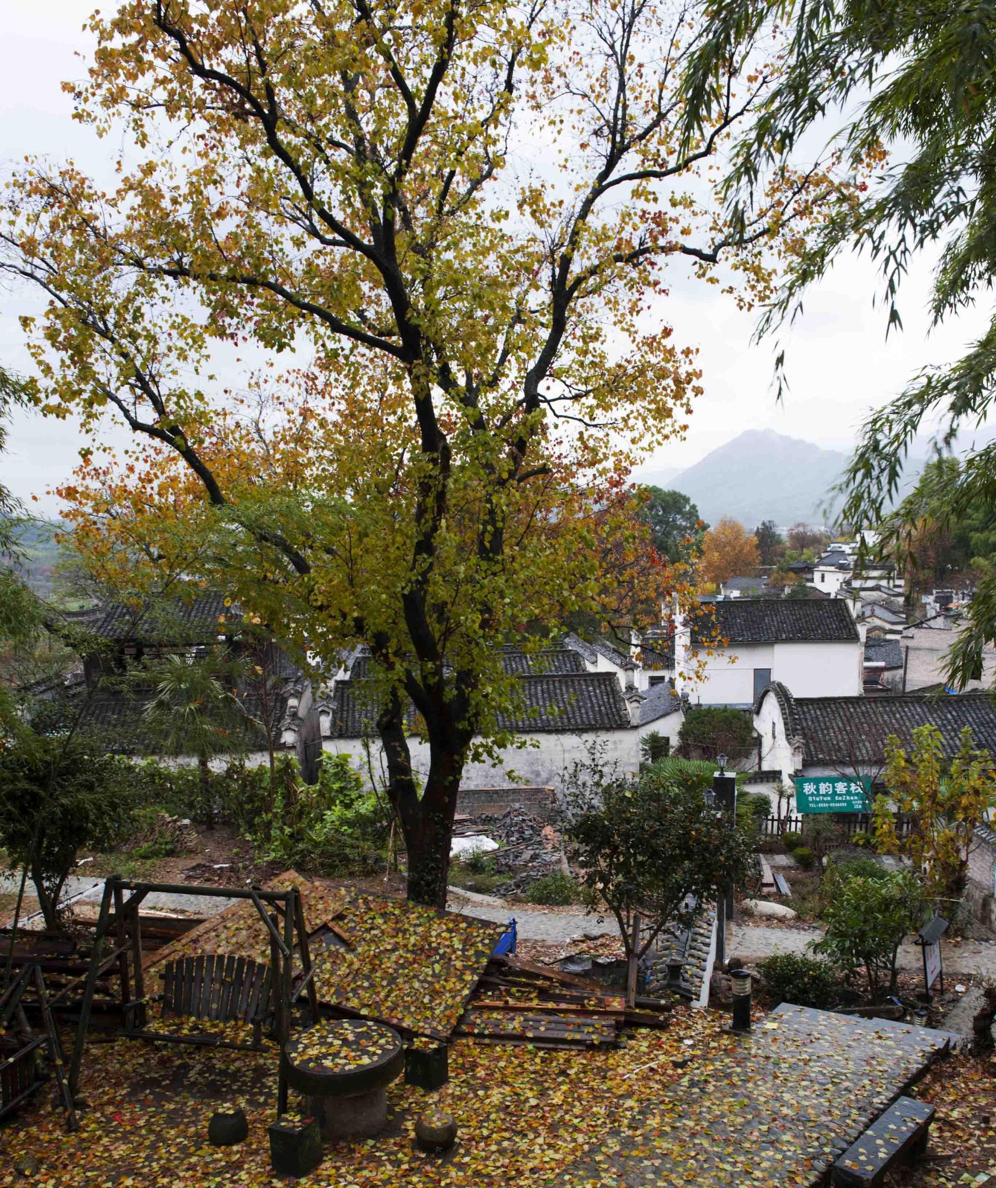 最美乡村:安徽黄山黟县雨中的塔川