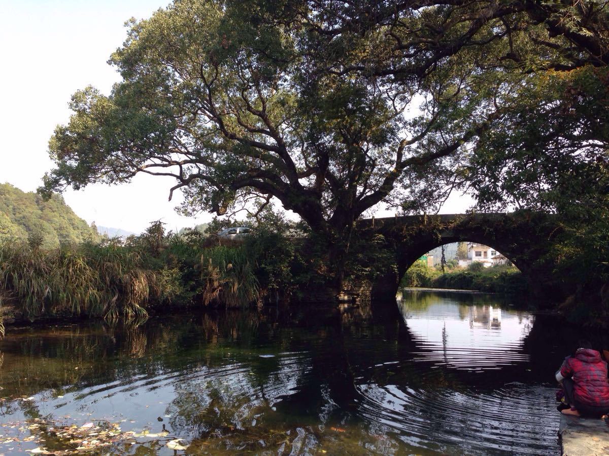 江西省上饶市樟村