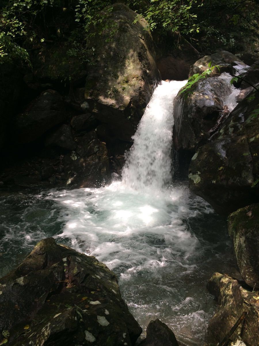 江西省 宜春市 靖安 三爪仑风景区