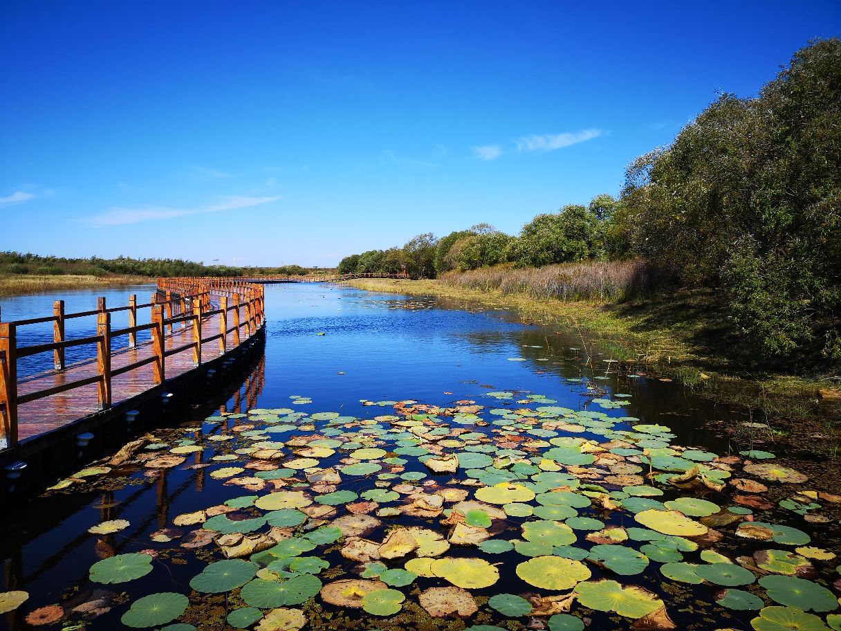 黑龙江省 佳木斯市 抚远市 黑瞎子岛 秋色