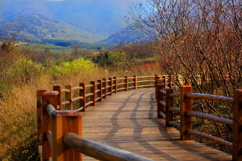 宜兴龙池山自行车公园,在骑行中欣赏美景,在美景中舒畅身心!