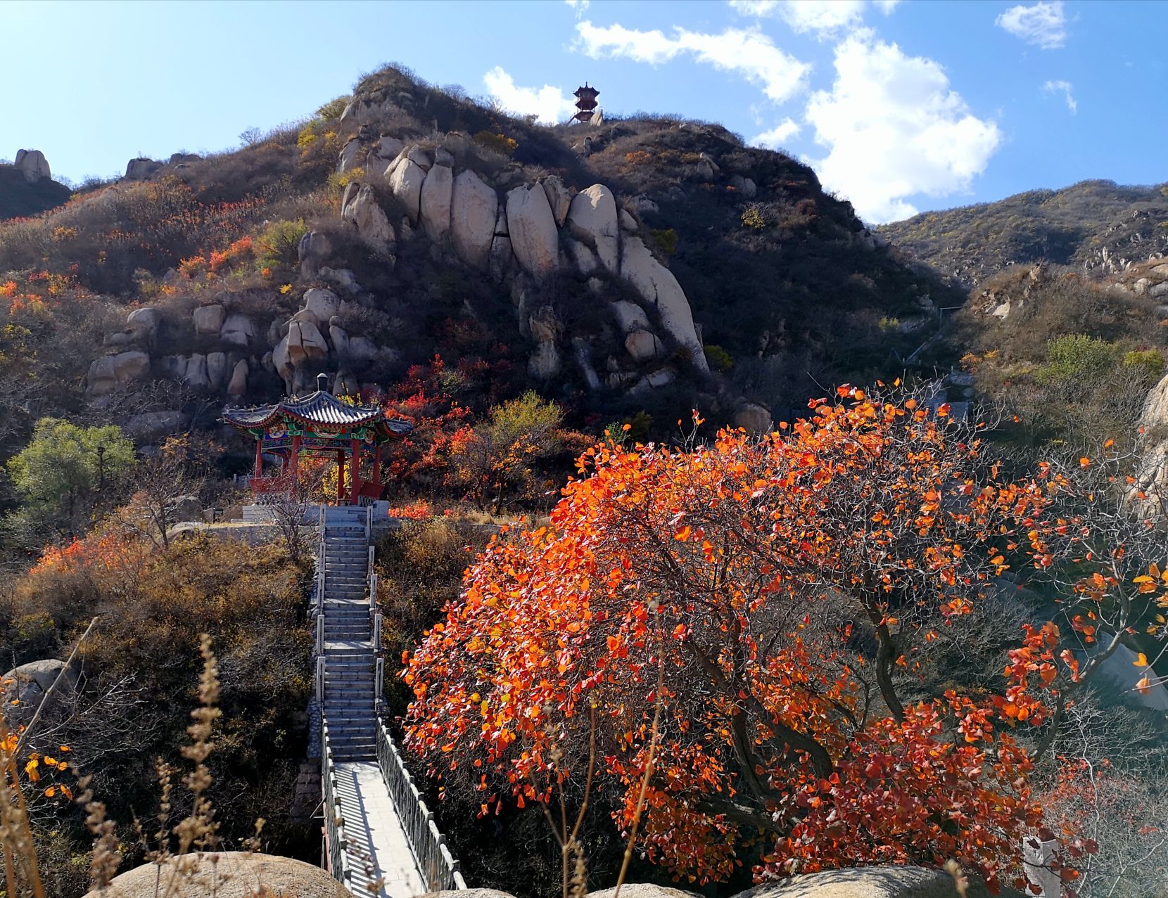 北京市 凤凰岭自然风景区 秋色