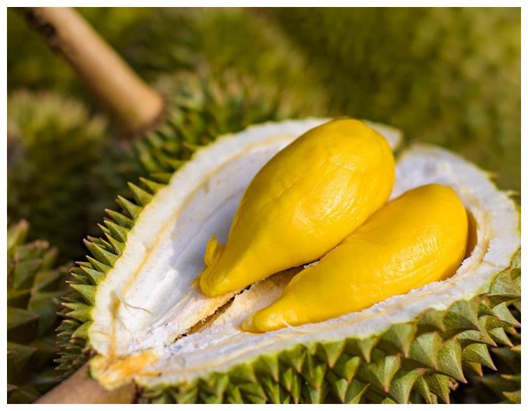 榴莲怎么挑?卖水果朋友教我,注意这4个地方,每