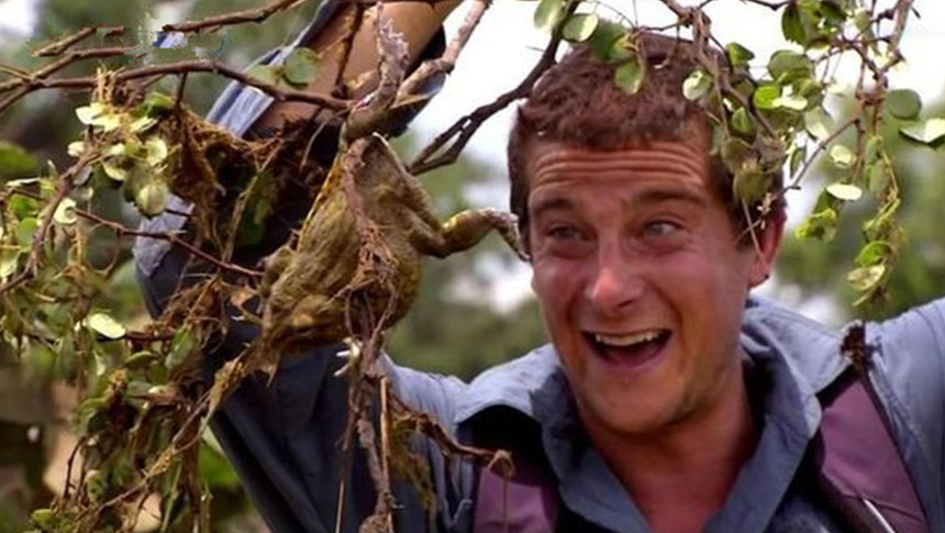 直击贝爷最罕见的10张照片,他还打破一项世界纪录|贝尔|世界纪录|热