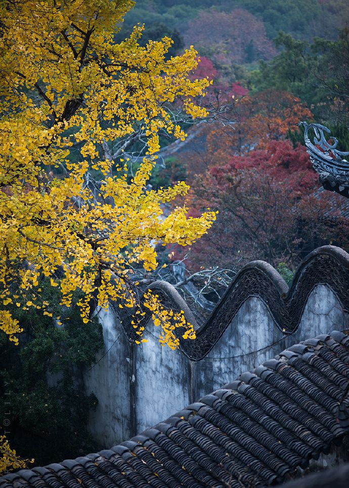 中国南方寺院深秋美景图片