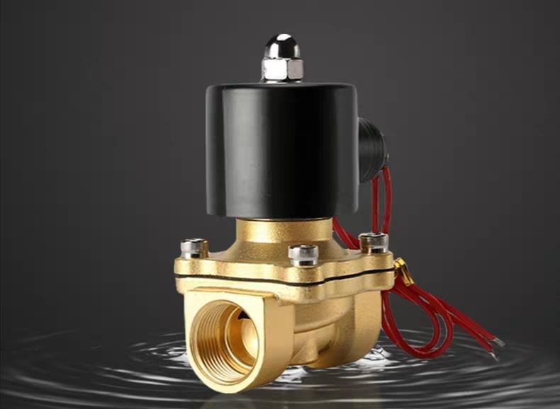 单向阀,只允许一个方向流动