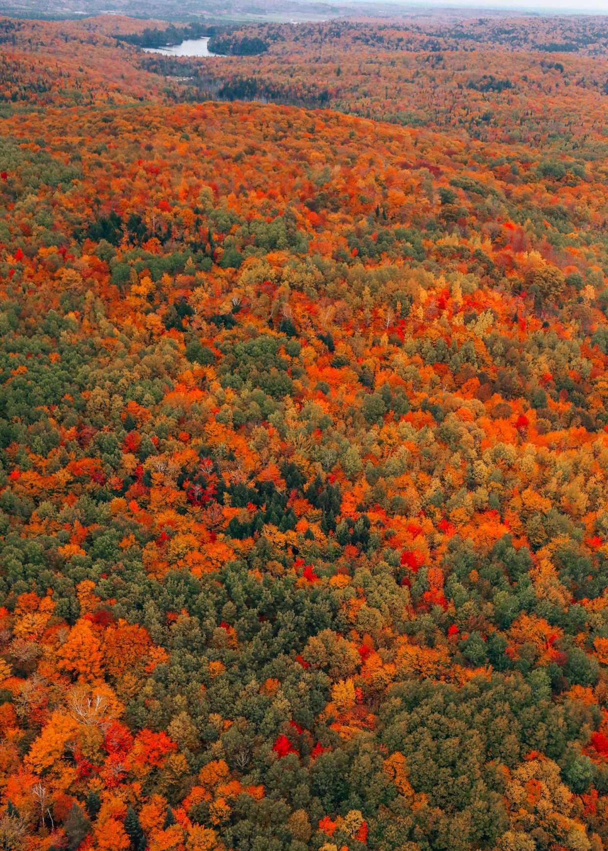 秋天色彩|加拿大魁北克的秋天美景