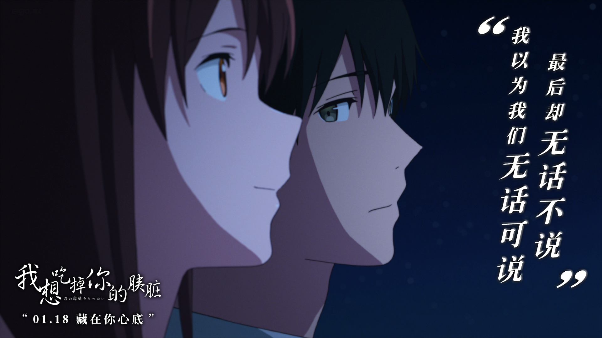 花火绚烂萤光闪烁我想吃掉你的胰脏1月18日与你相遇