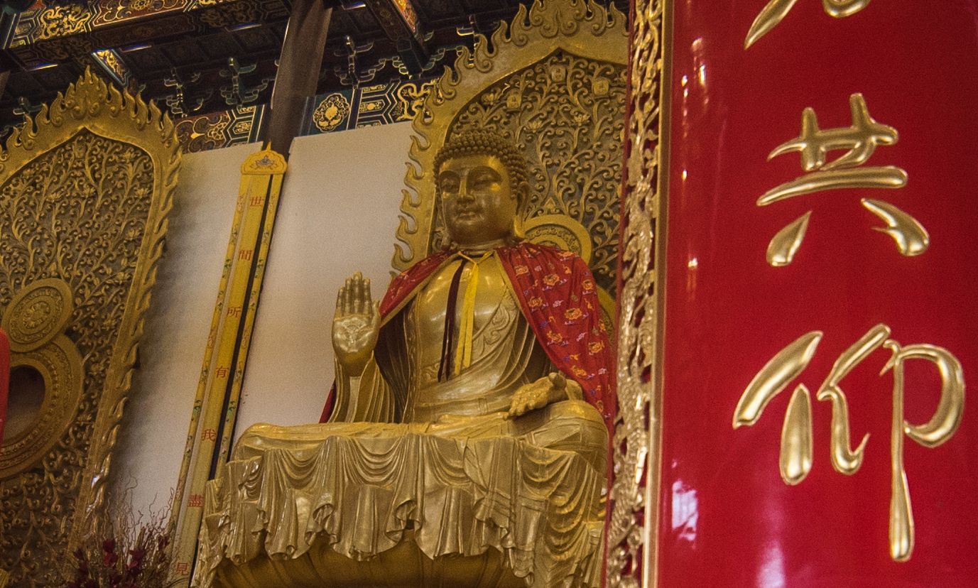 同沾法喜!长春万寿寺腊月初八释迦牟尼佛成道日法会精美图集